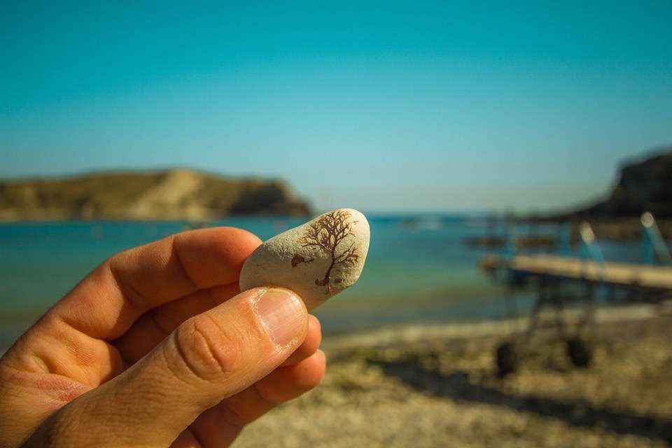 paintedrox-painted-rocks-picture-960-129